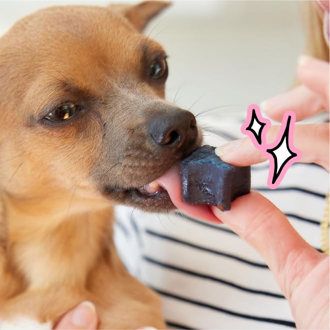 Dog Dental Chews for Fresh Breath & Clean Teeth 28 Chews G33834