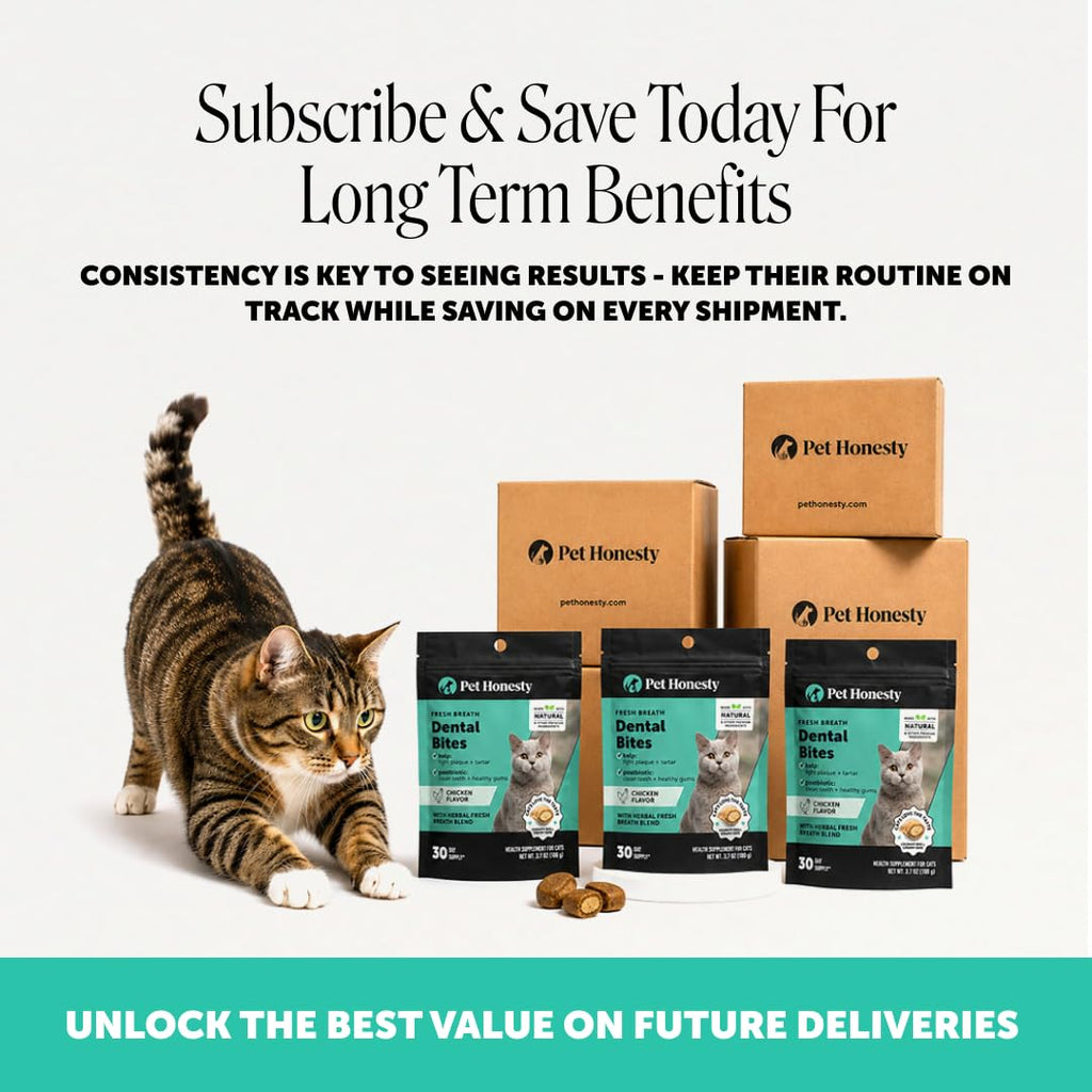 Cat Teeth Cleaning Bites P6178