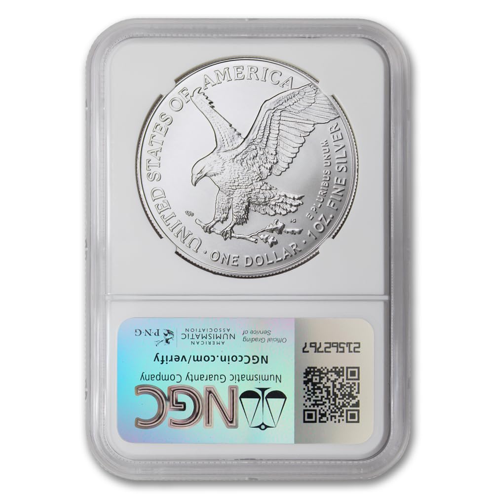 1 oz American Silver Eagle Coin A9865
