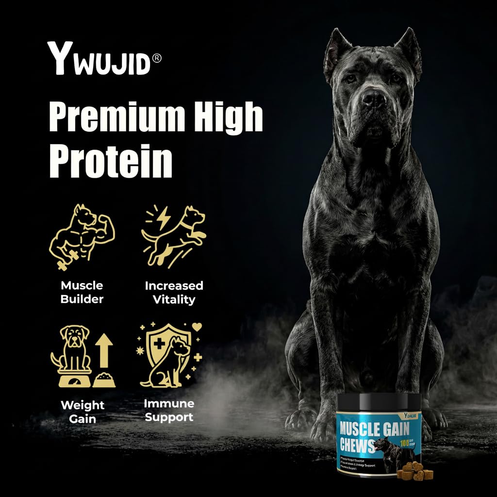 High Protein Dog Weight Gainer Supplements R606366