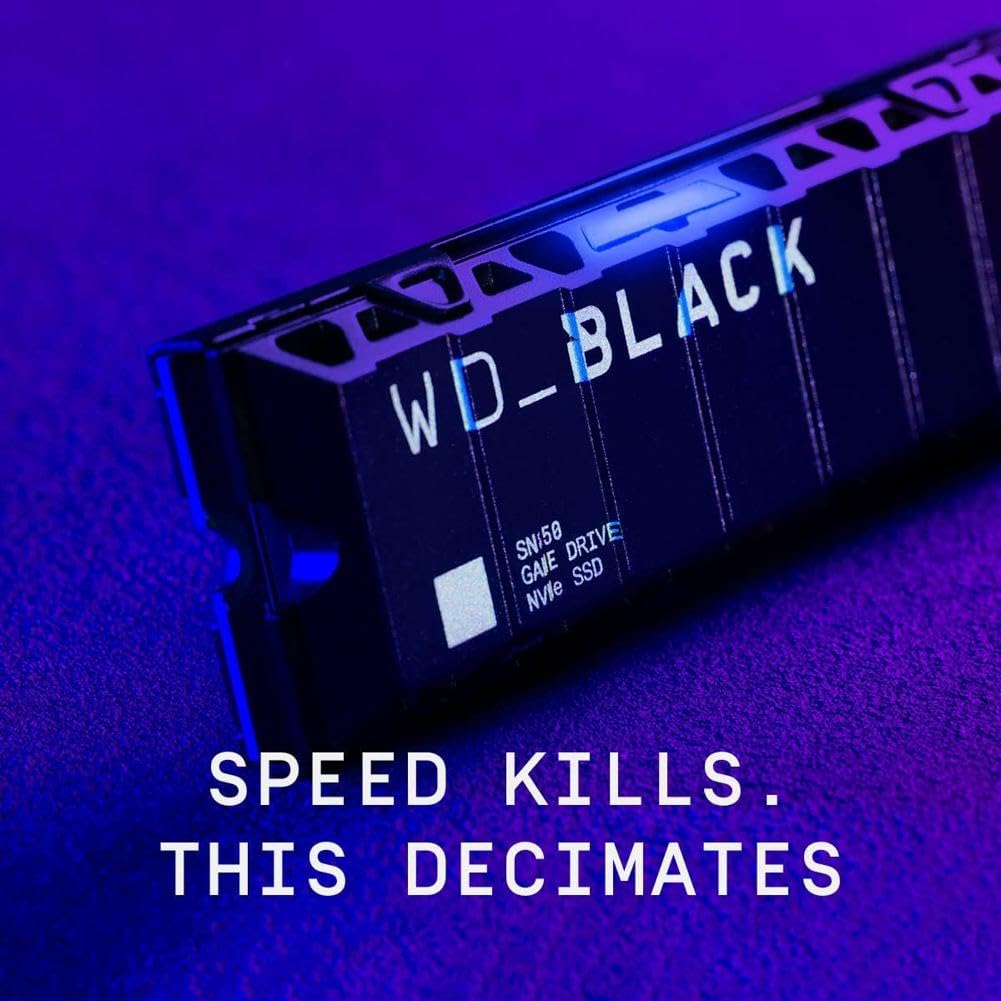 1TB NVMe M.2 2280 SSD with Heatsink L23205