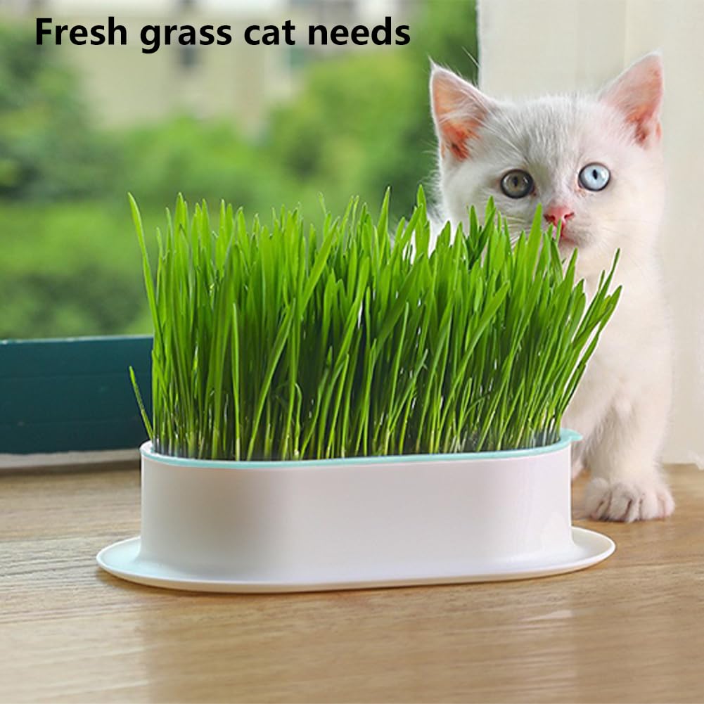 3 Pack Hydroponic Seed Sprout Tray E5992