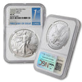 1 oz American Silver Eagle Coin A9865