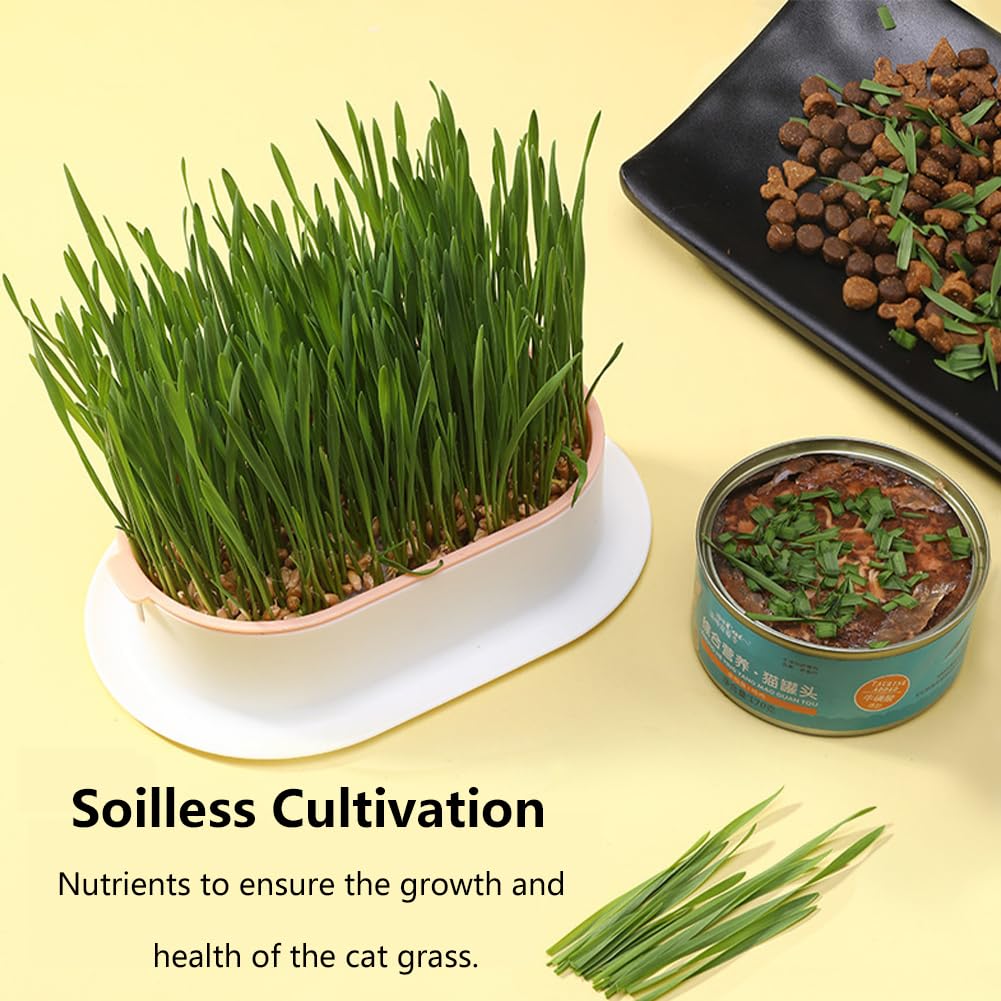3 Pack Hydroponic Seed Sprout Tray E5992