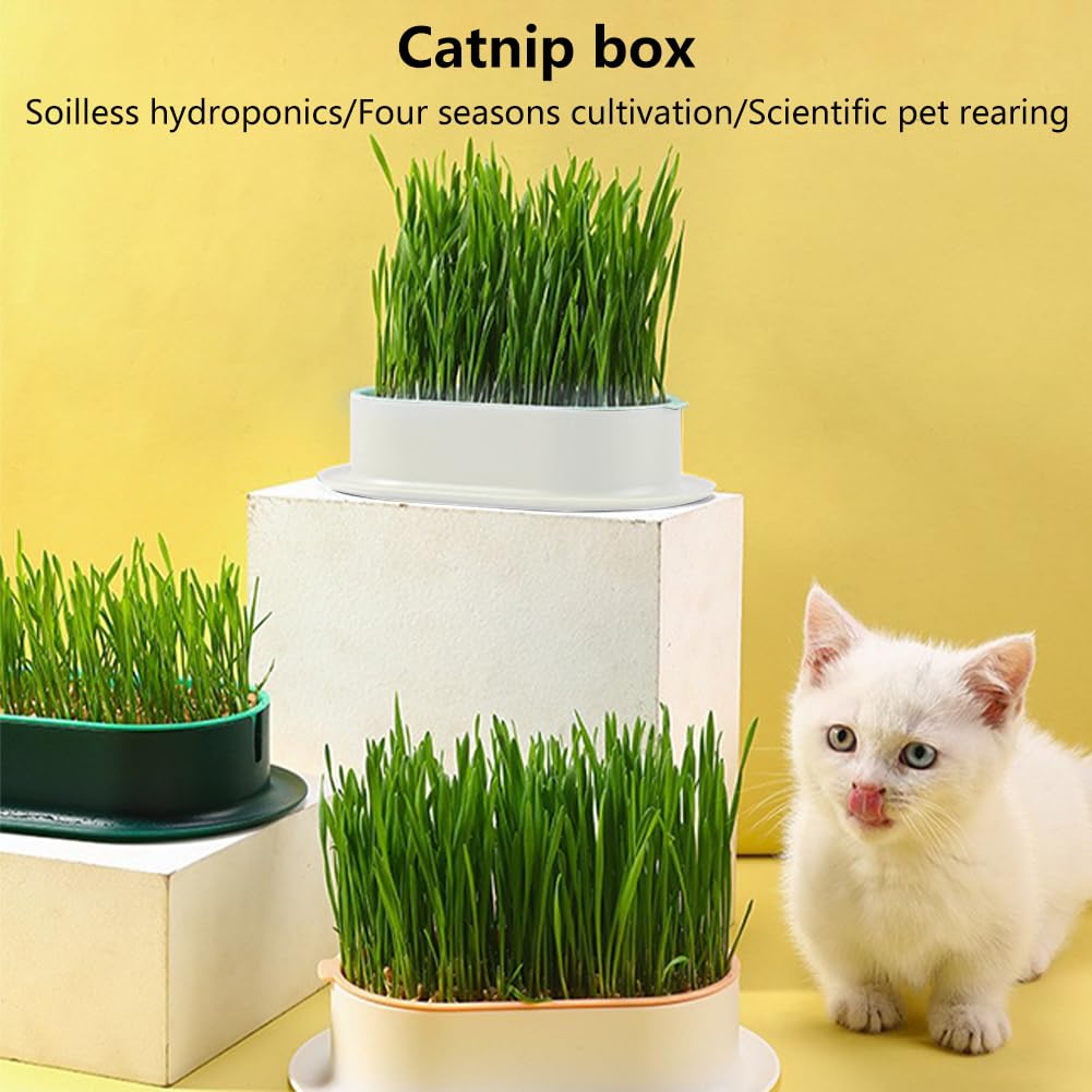 3 Pack Hydroponic Seed Sprout Tray E5992