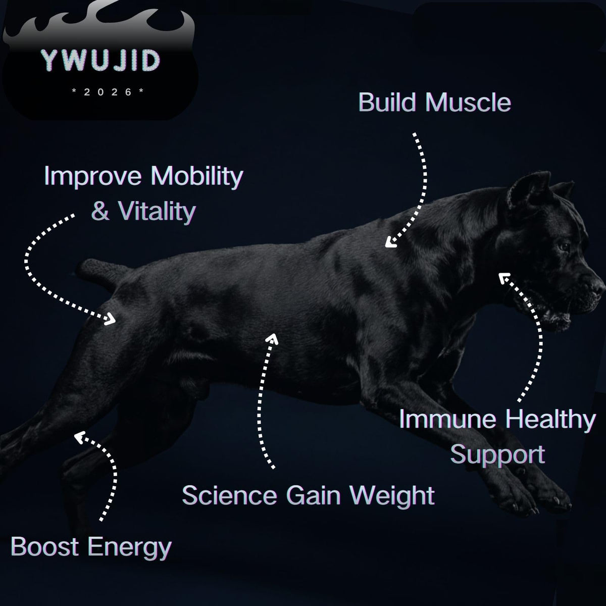 High Protein Dog Weight Gainer Supplements R606366