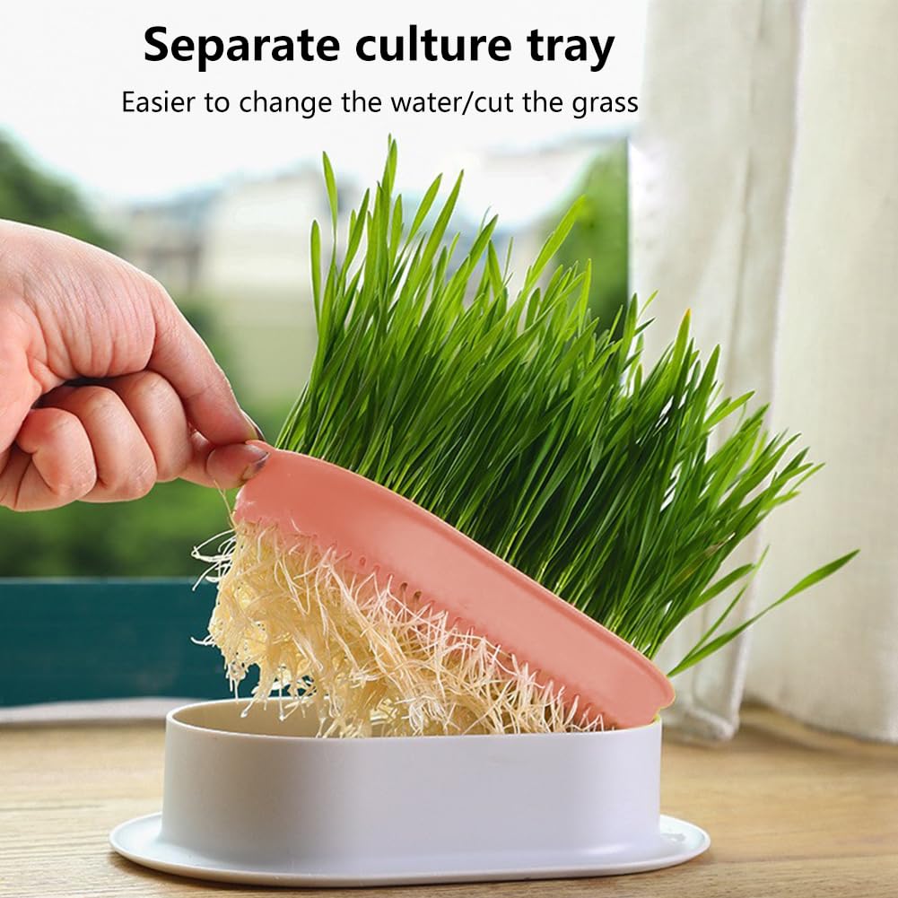 3 Pack Hydroponic Seed Sprout Tray E5992