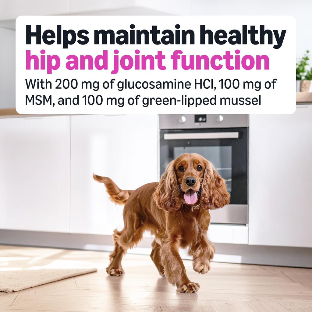 Dog Hip & Joint Supplement Chews with Glucosamine, MSM, Vitamin C, Duck Flavored, 120 Count Z825681