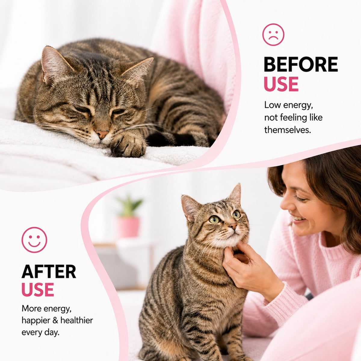 Cat Dewormer for Roundworms & Hookworms T664979