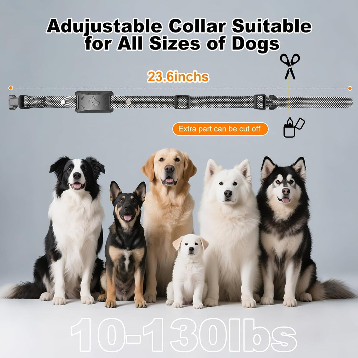 Wireless Electric Dog Fence M819