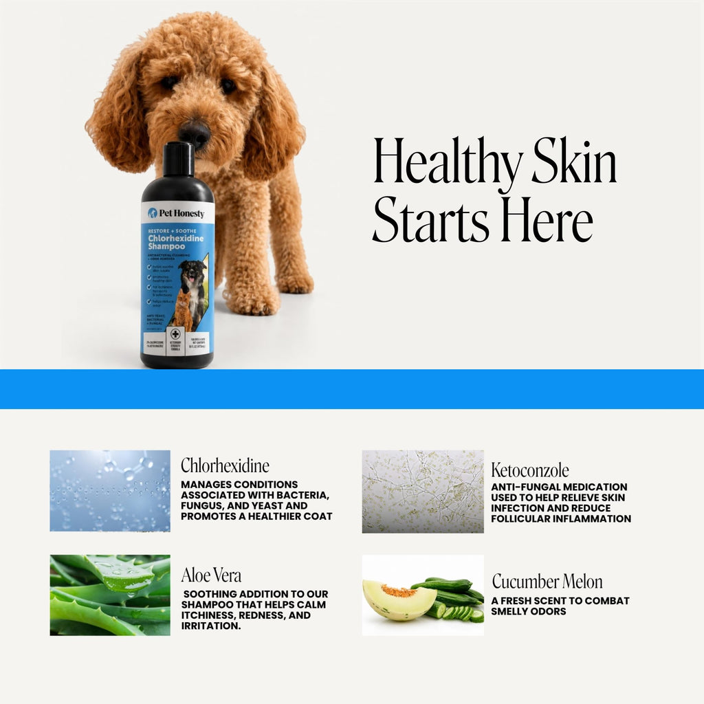 Chlorhexidine Dog Shampoo 16oz Z20496