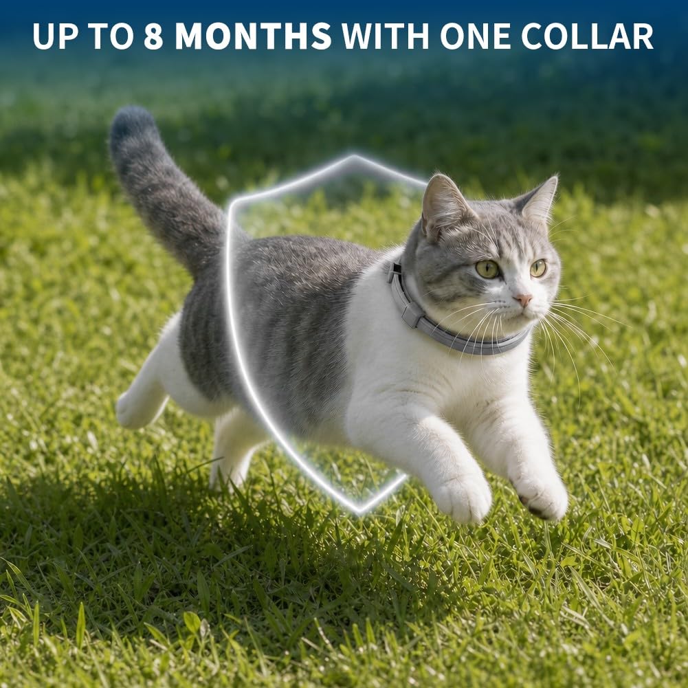 Cat Flea and Tick Collar 4 Pack V562638