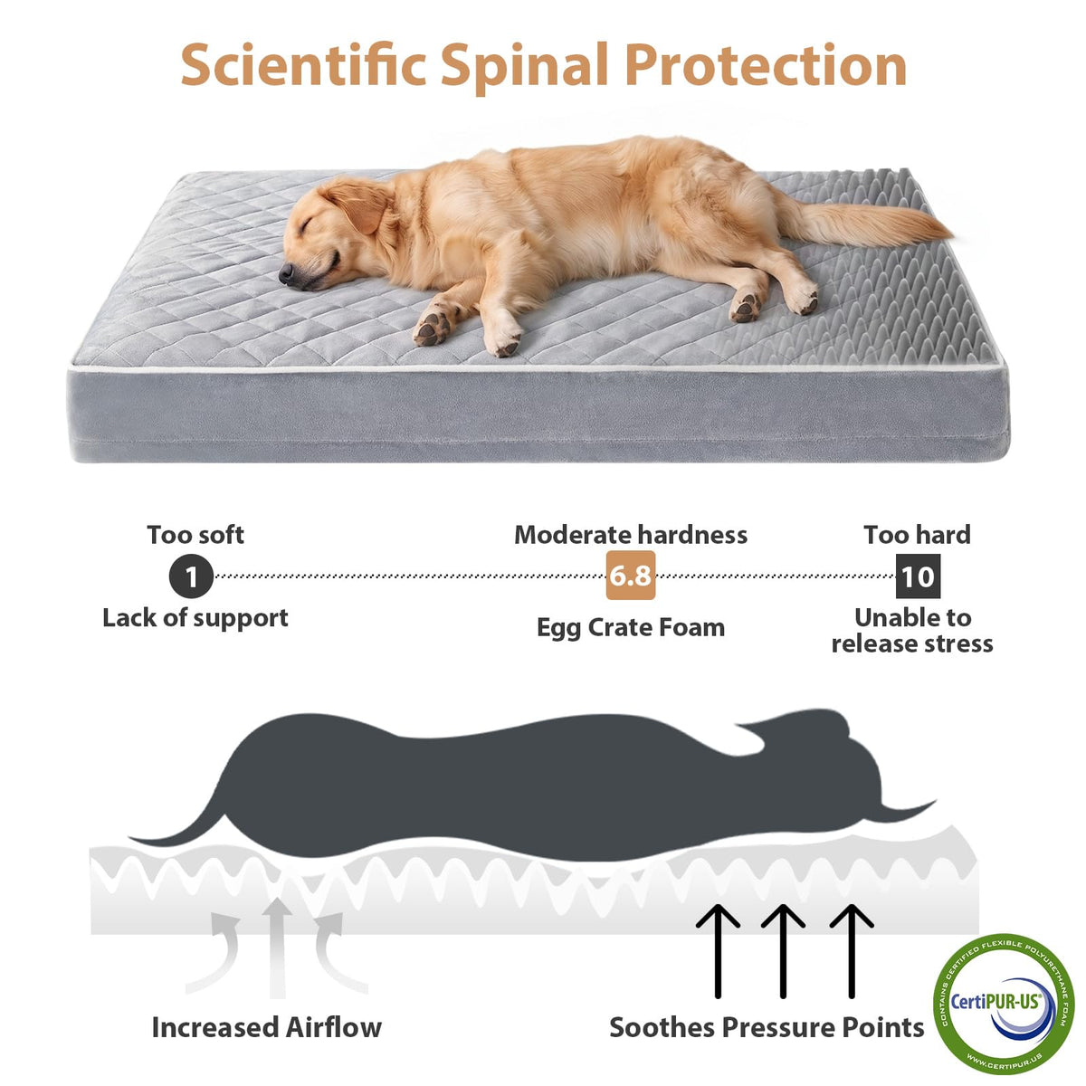 Waterproof Extra Large Orthopedic Dog Bed Z2549