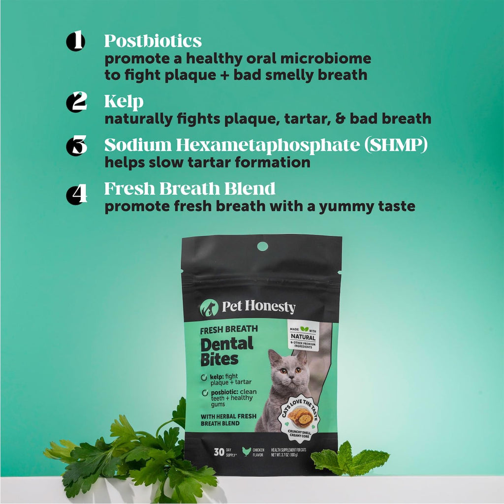 Cat Teeth Cleaning Bites P6178