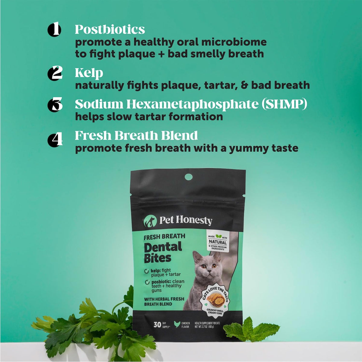 Cat Teeth Cleaning Bites P6178