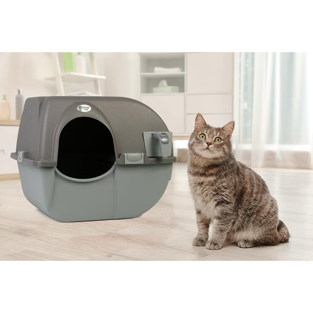 Self Cleaning Litter Box Regular Size Grey B58883