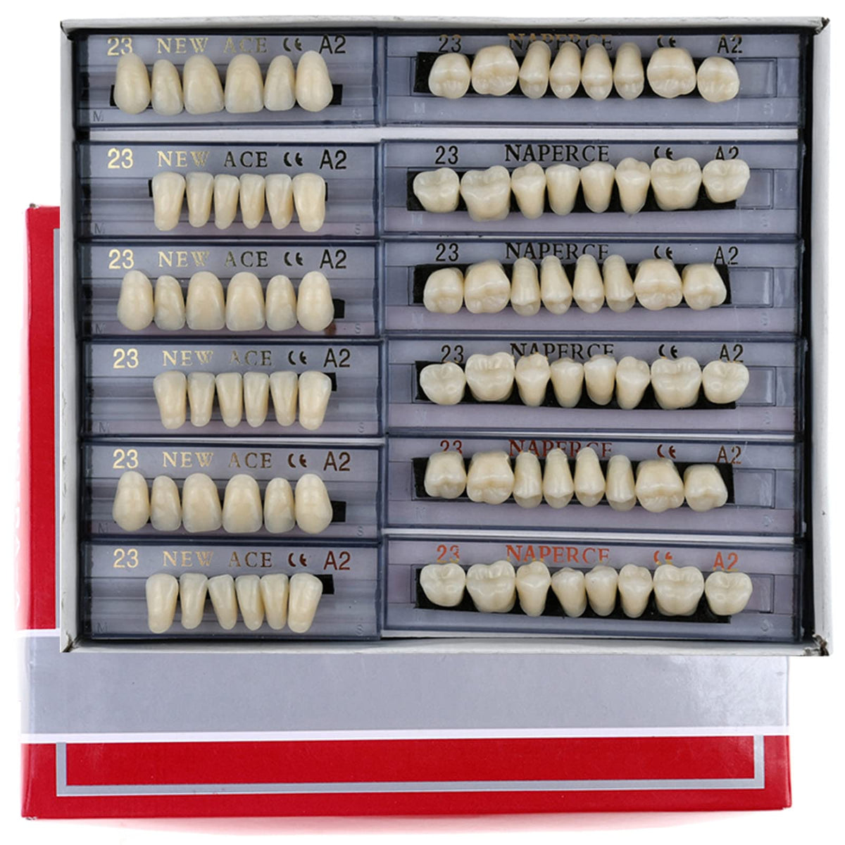 168 Pieces Acrylic Resin Denture Teeth 6 Sets 23 Shade A2 Upper + Lower B9298