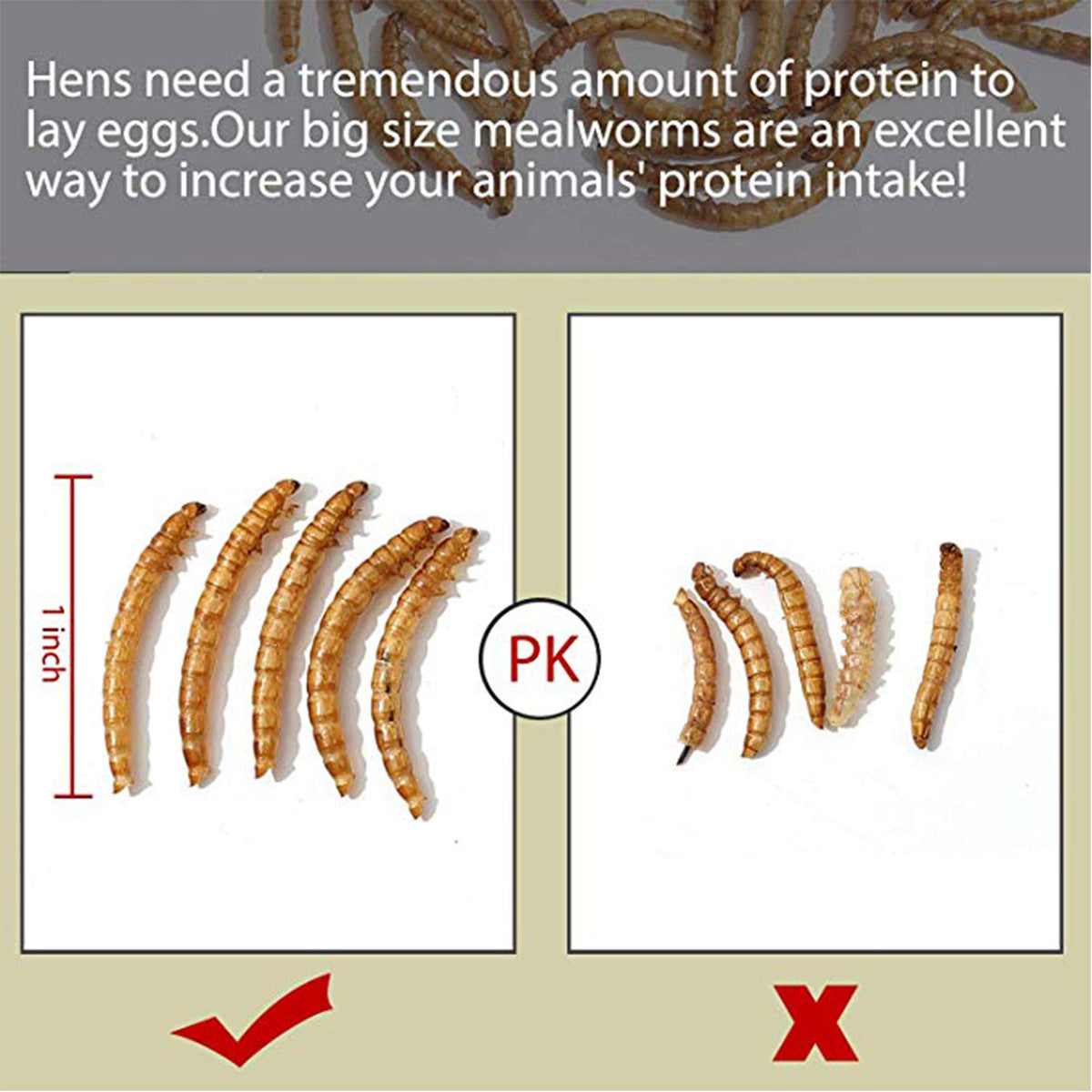20 LBS Non-GMO Dried Mealworms Q54280