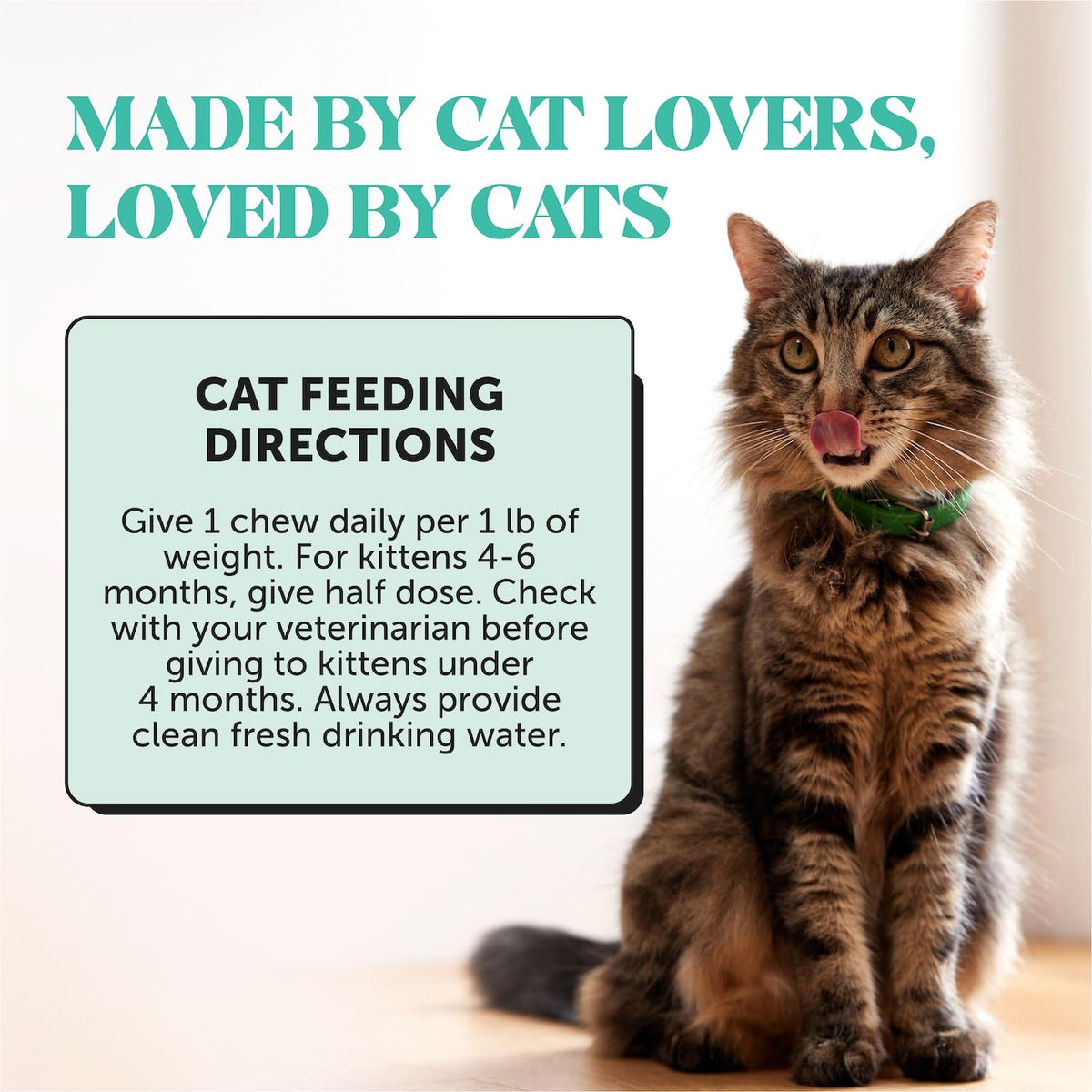 Cat Teeth Cleaning Bites P6178