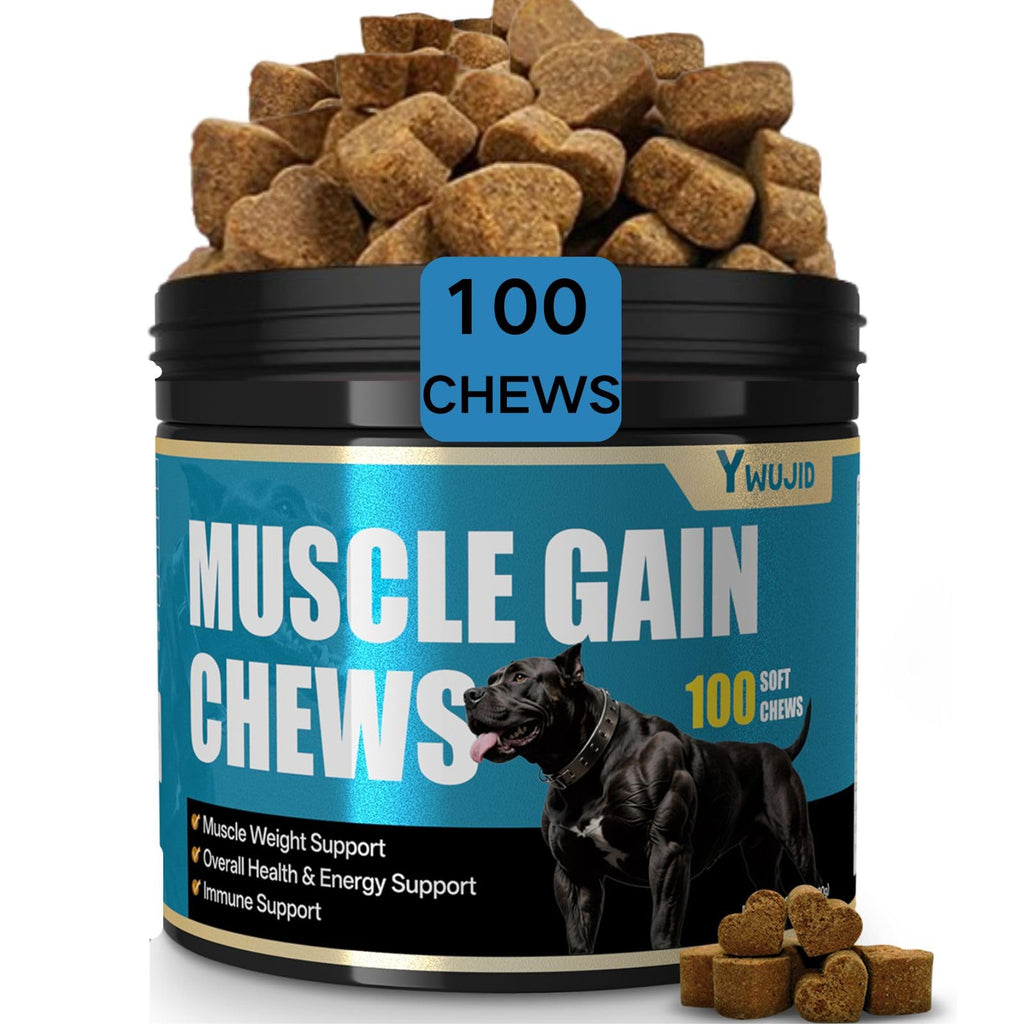 High Protein Dog Weight Gainer Supplements R606366