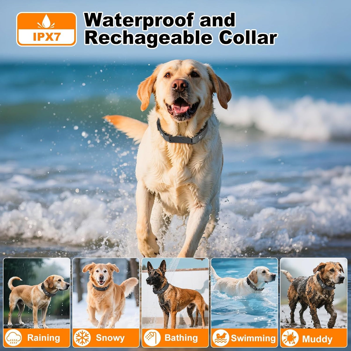 Wireless Electric Dog Fence M819
