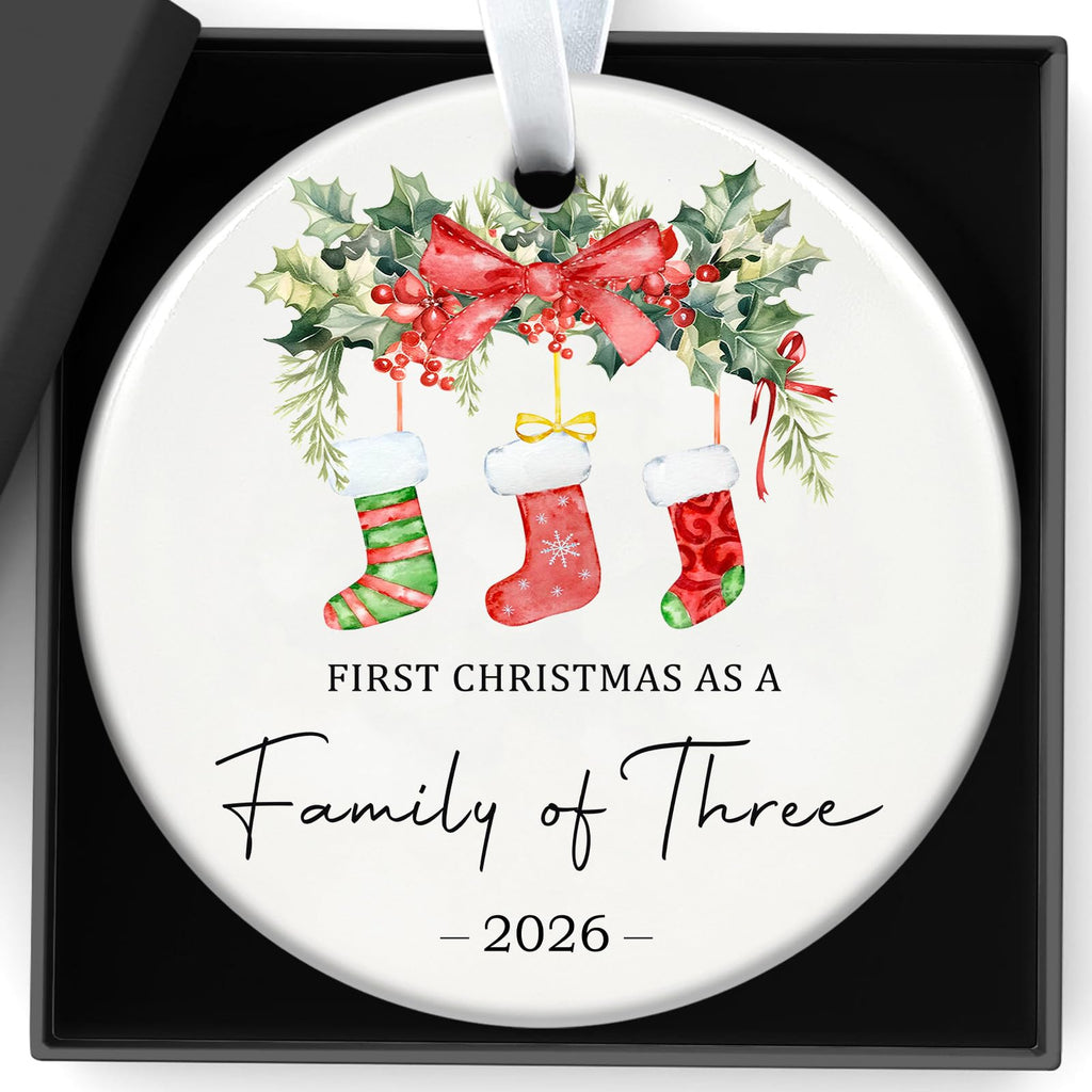 Baby First Christmas Ornaments 2026 T389033