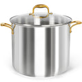 20 Quart Stainless Steel Stock Pot with Lid F12660