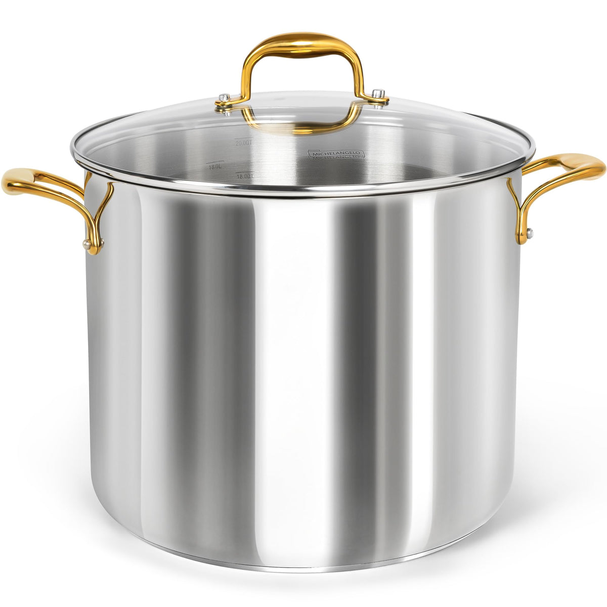 20 Quart Stainless Steel Stock Pot with Lid F12660
