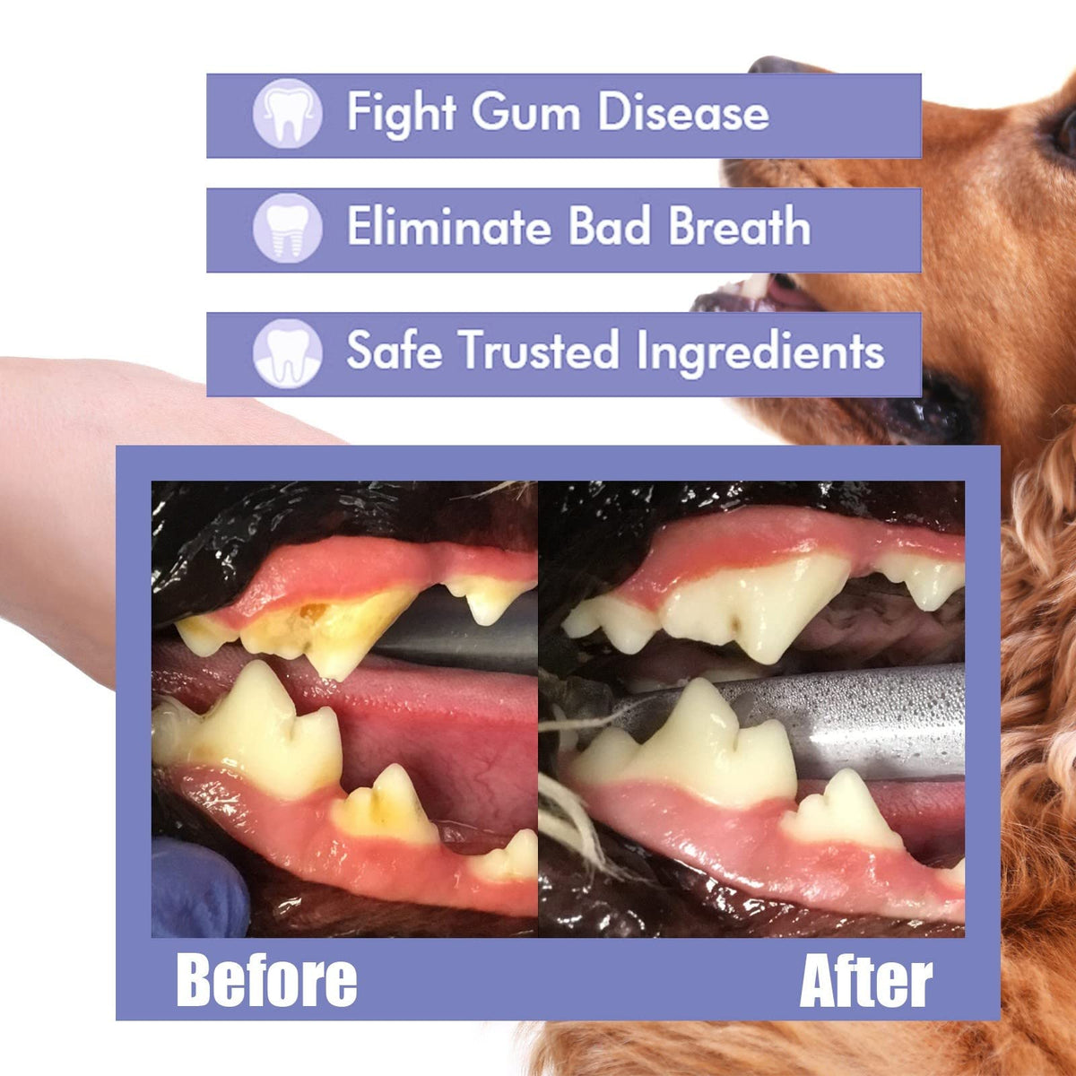 Pet Breath Freshen Spray 60ml Oral Hygiene Solution for Dogs & Cats P74133