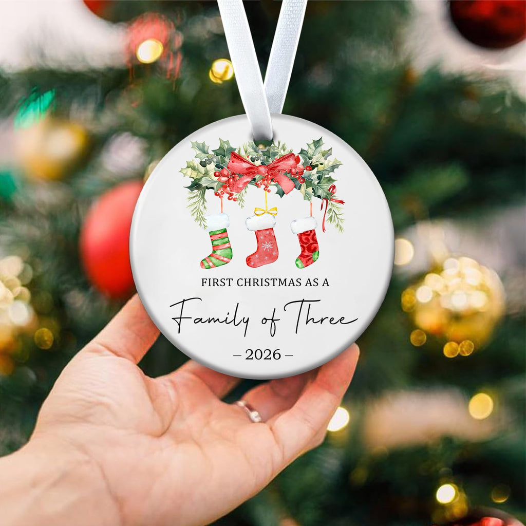 Baby First Christmas Ornaments 2026 T389033