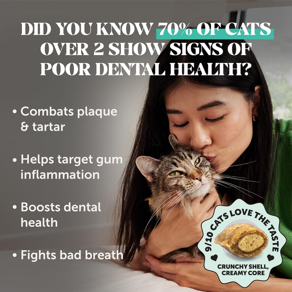 Cat Teeth Cleaning Bites P6178