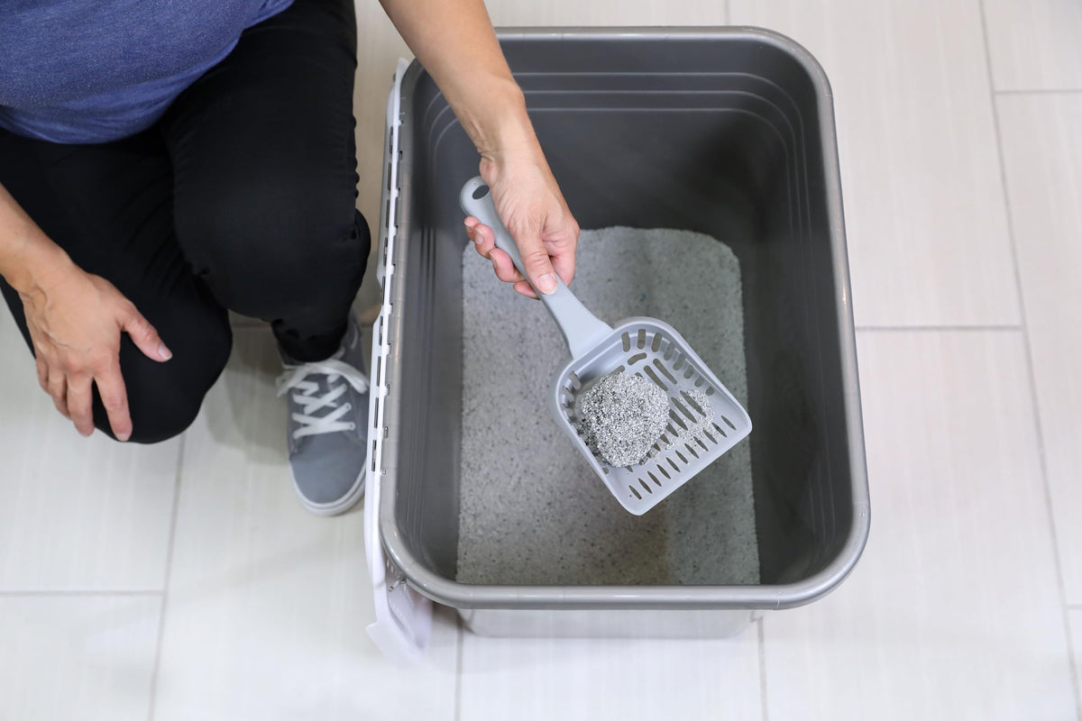 Enclosed Cat Litter Box with Hinged Lid Z161292