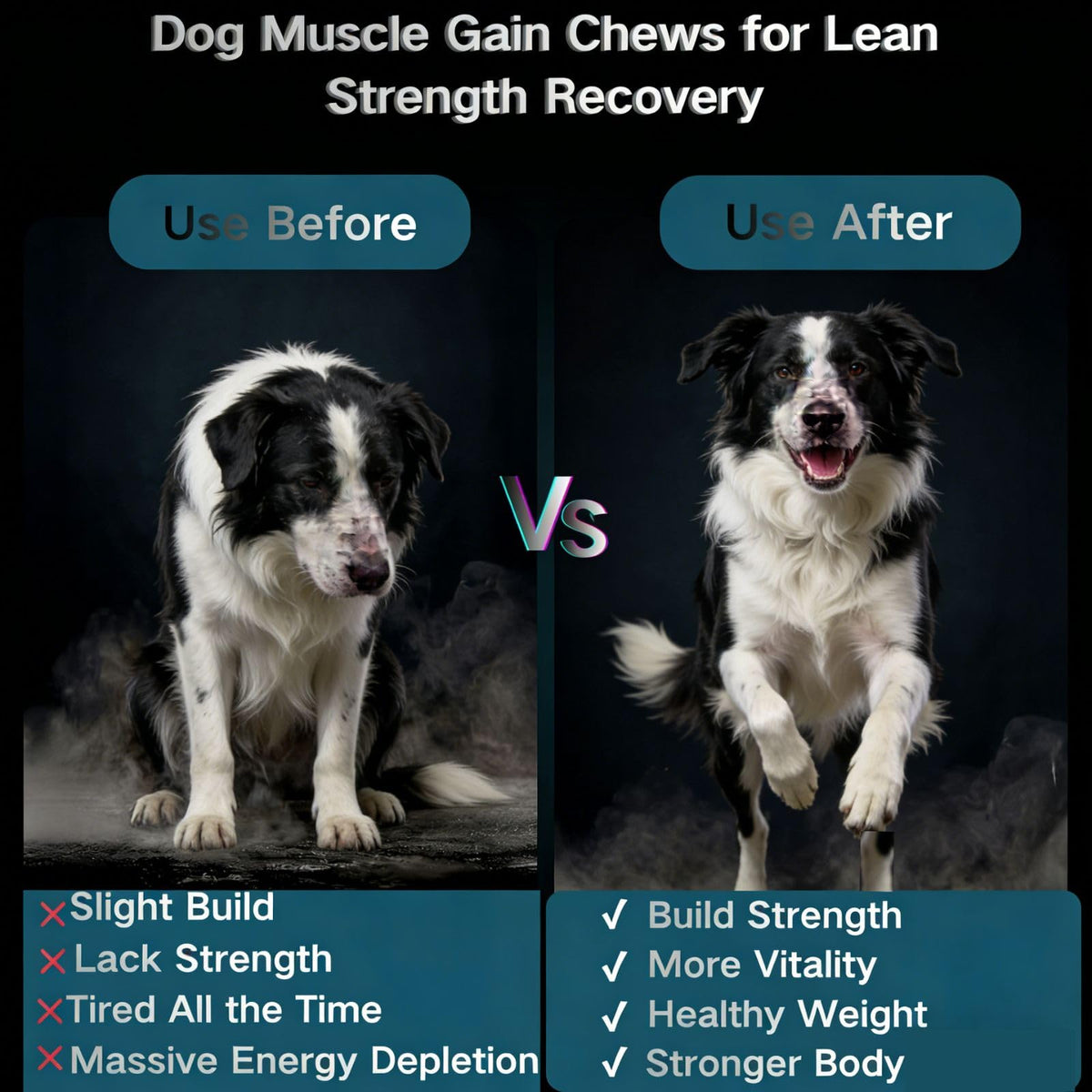 High Protein Dog Weight Gainer Supplements R606366