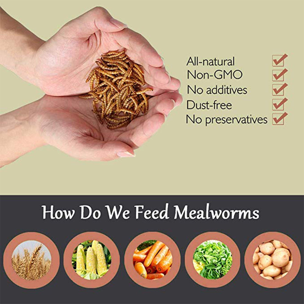 20 LBS Non-GMO Dried Mealworms Q54280
