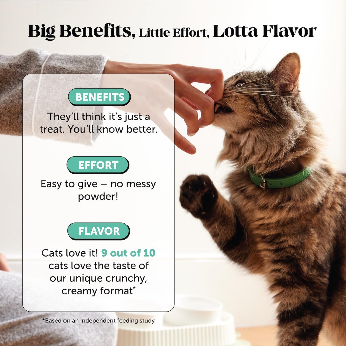 Cat Teeth Cleaning Bites P6178