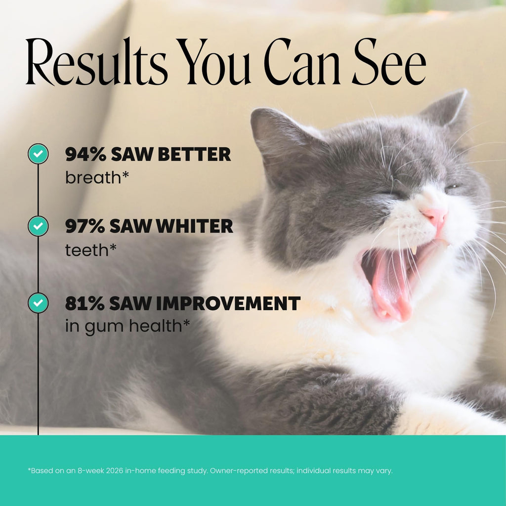 Cat Teeth Cleaning Bites P6178
