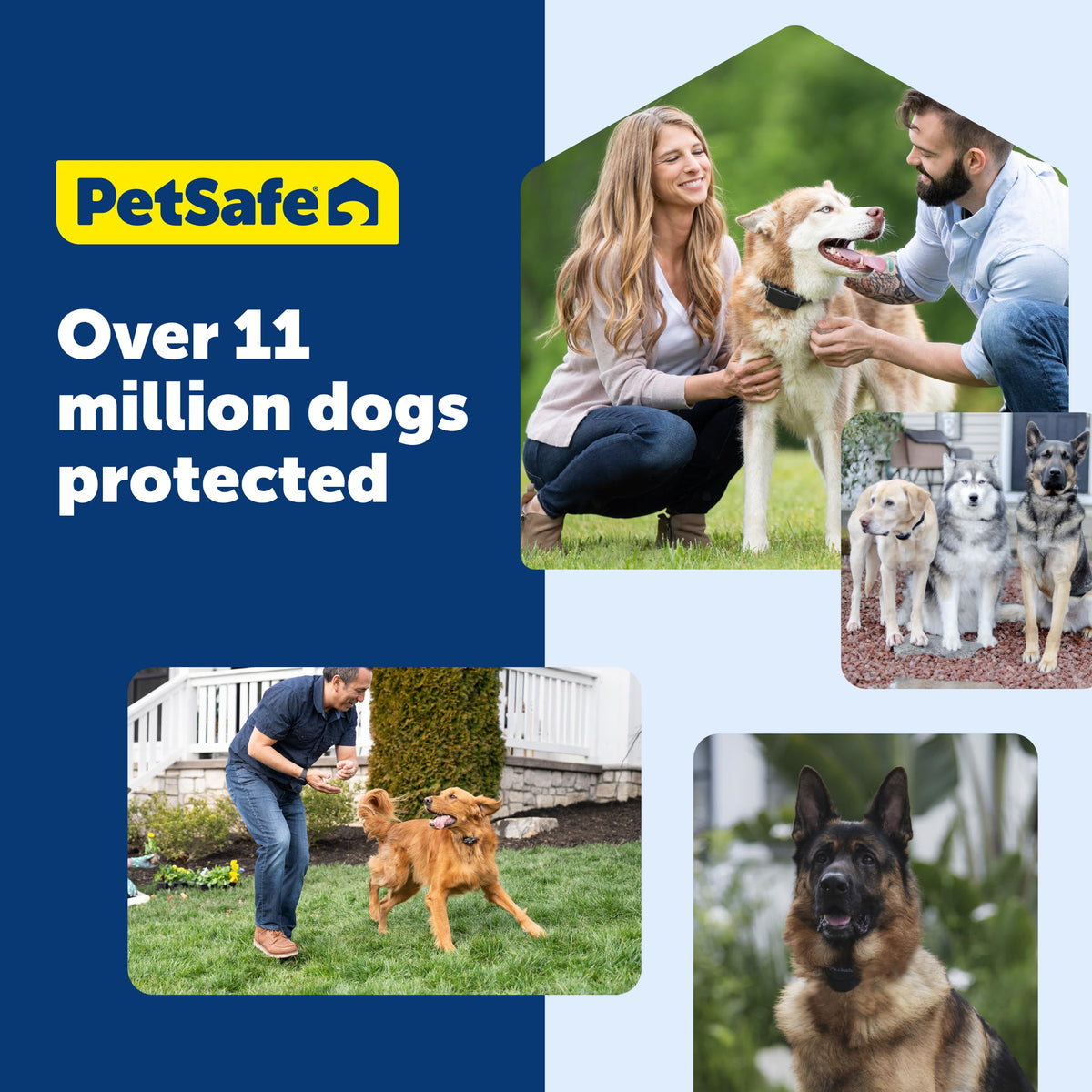 GPS Dog Fence V5041