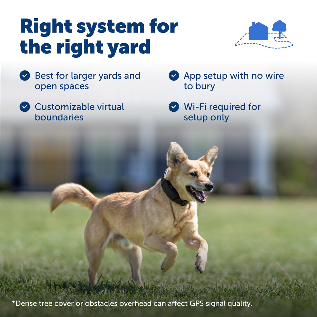 GPS Dog Fence V5041