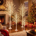 4 Pack Lighted Birch Tree C578255