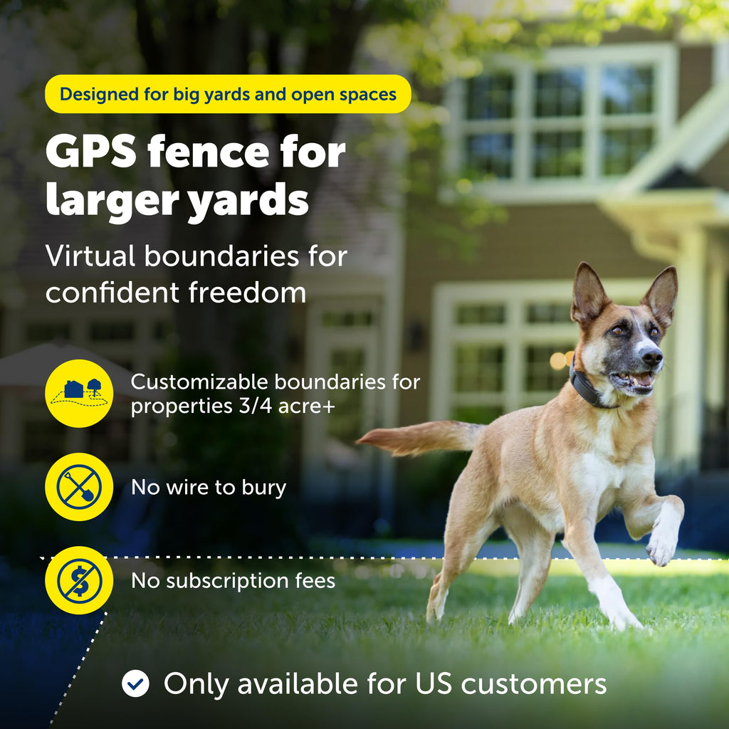 GPS Dog Fence V5041