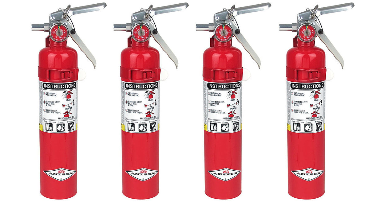 2.5lb ABC Dry Chemical Fire Extinguisher with Wall Bracket X907188
