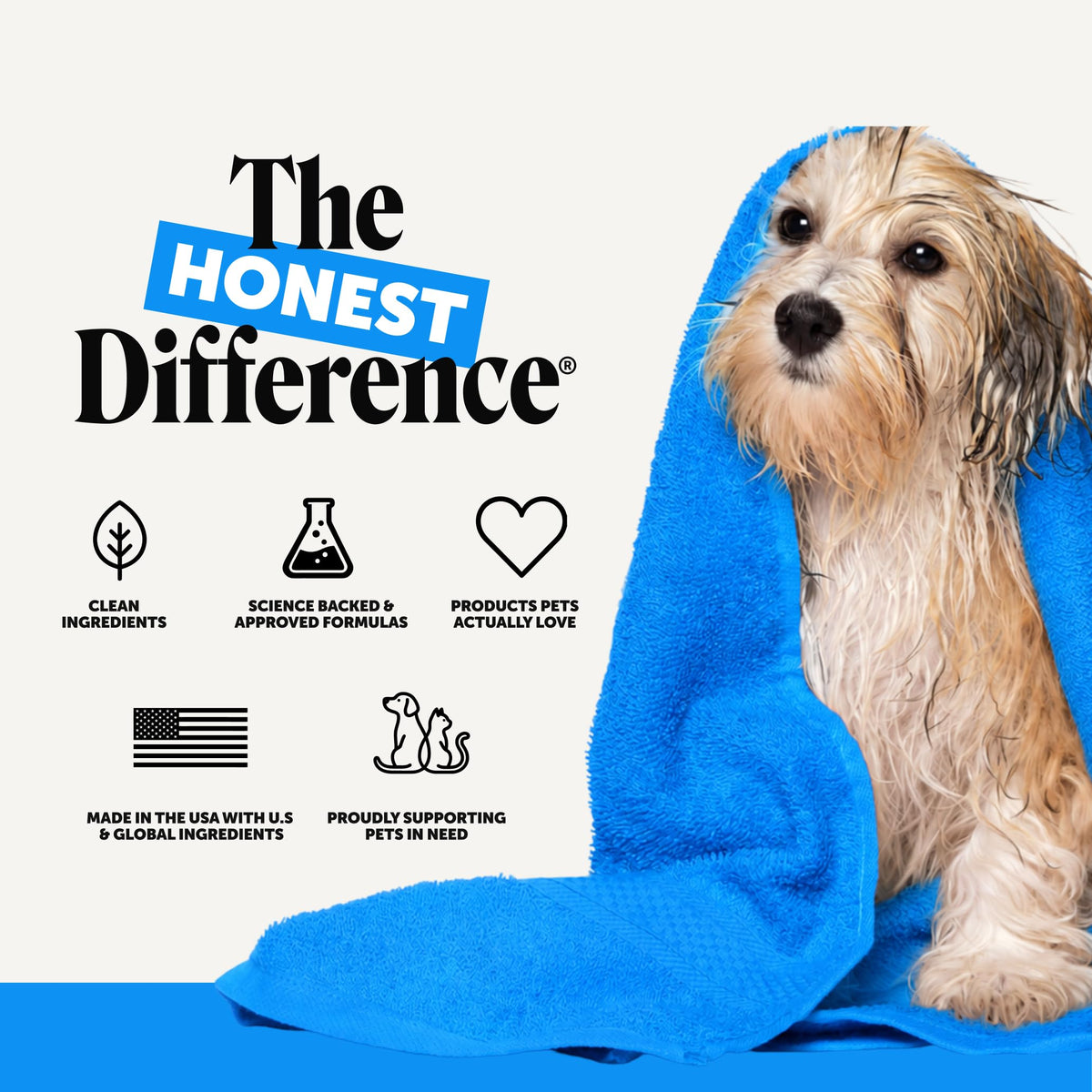 Chlorhexidine Dog Shampoo 16oz Z20496