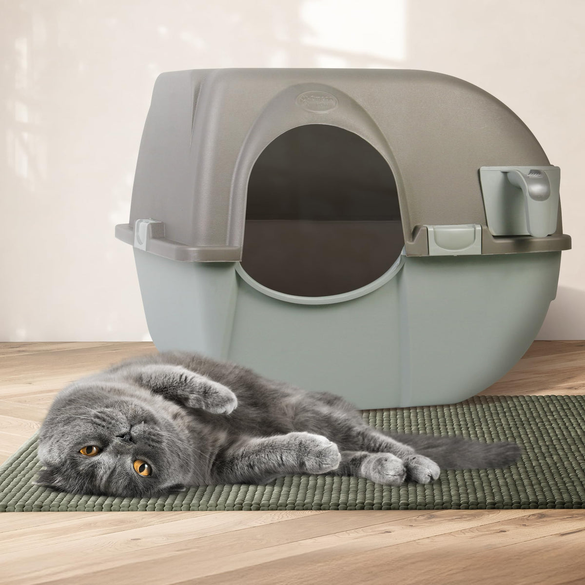 Self Cleaning Litter Box Regular Size Grey B58883