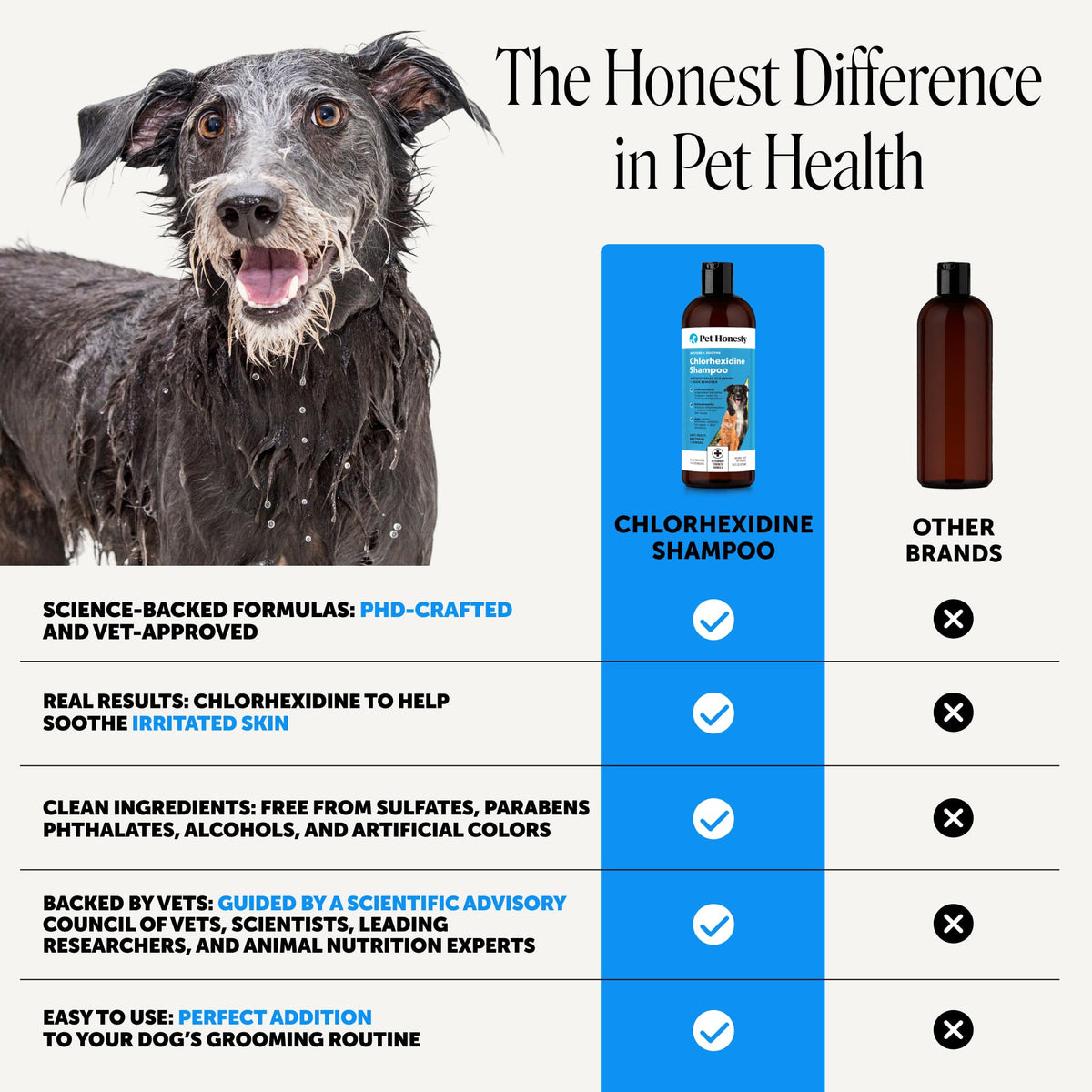 Chlorhexidine Dog Shampoo 16oz Z20496