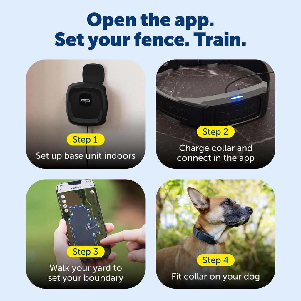 GPS Dog Fence V5041