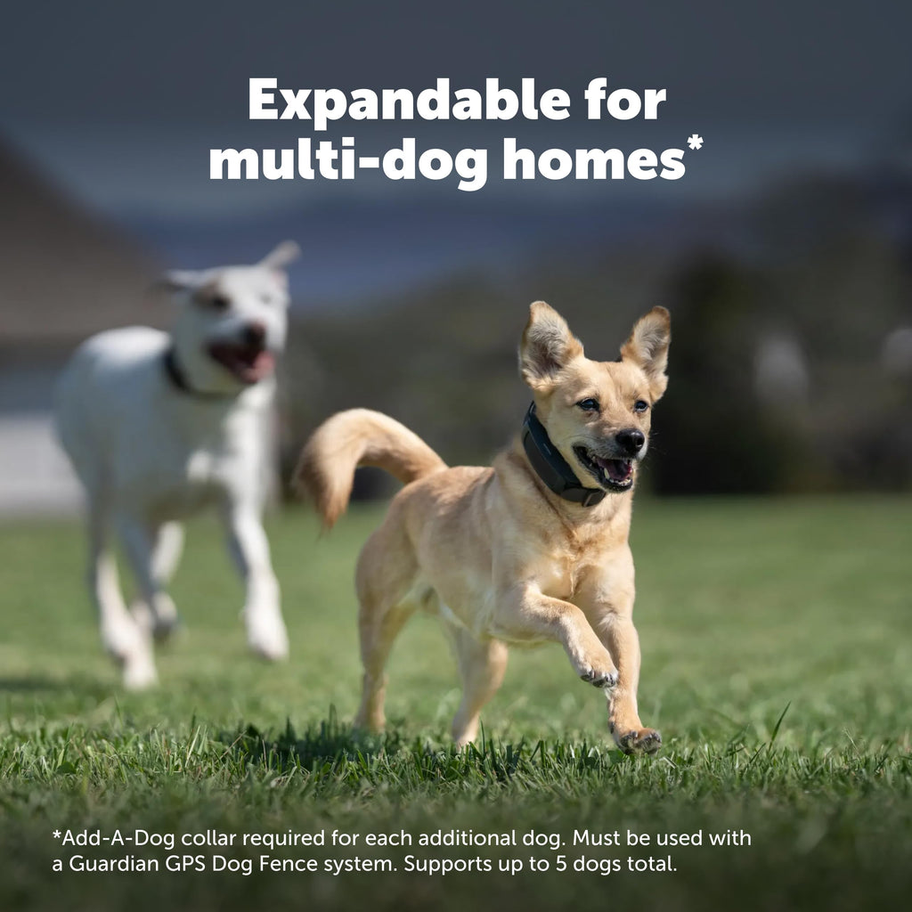 GPS Dog Fence V5041