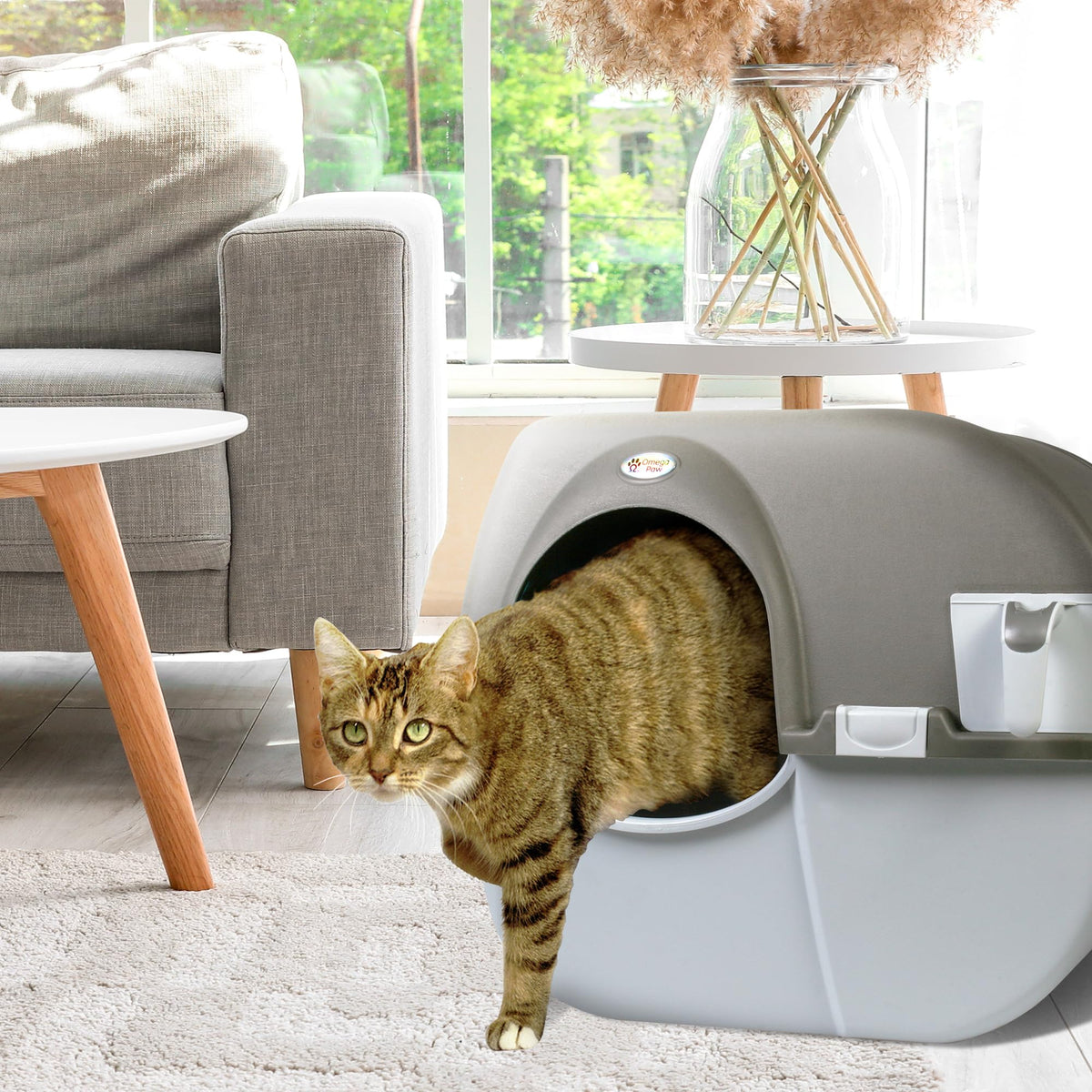Self Cleaning Litter Box Regular Size Grey B58883