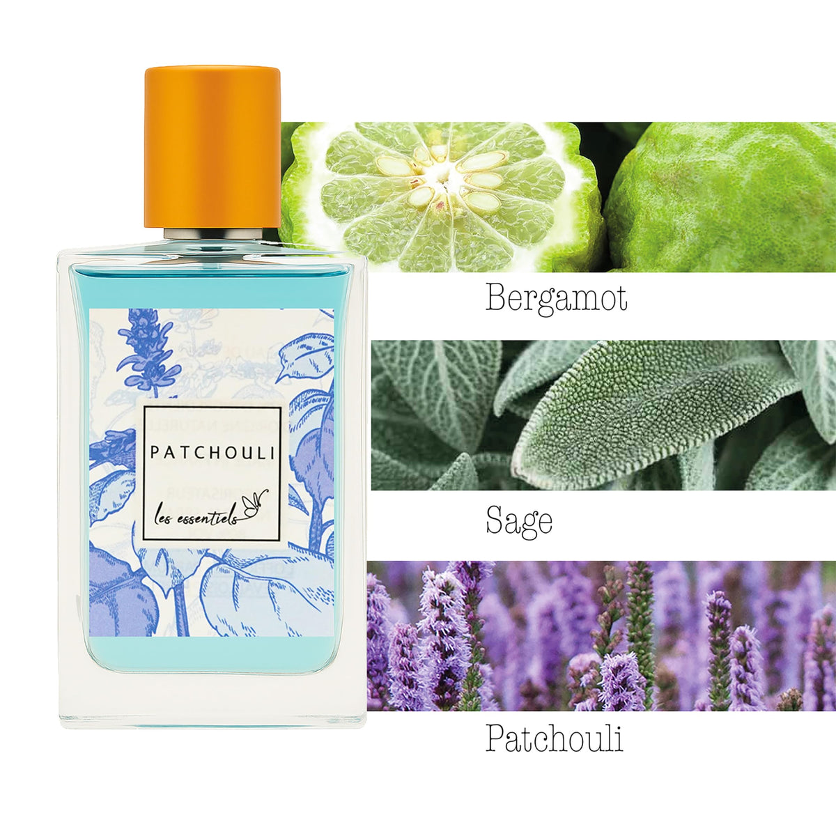 Patchouli Woody Amber 2.7 oz Perfume O713